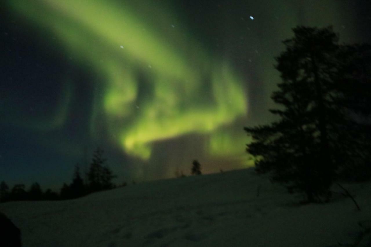 Rovaniemi City Apartments エクステリア 写真